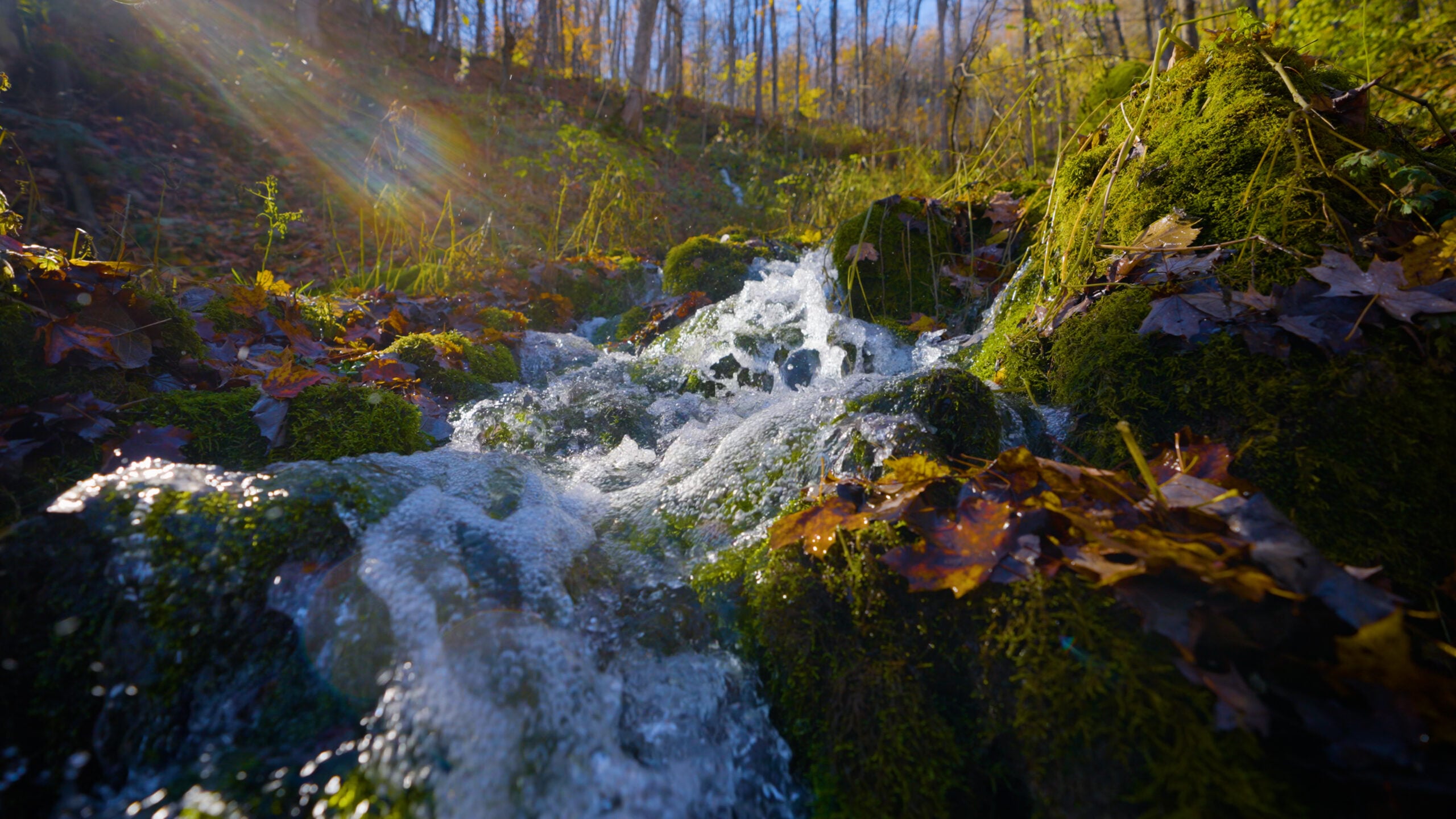 Small waterfall on the Bruce Trail